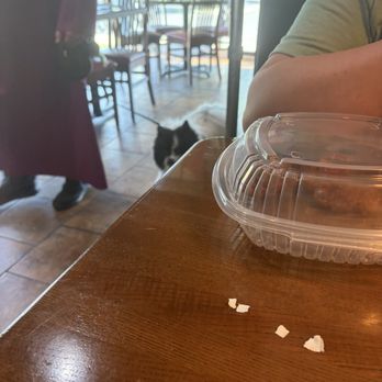TGI Fridays Front Royal - Dog with no Service dog vest, hair flying around it - American Near Me - Front Royal, Virginia