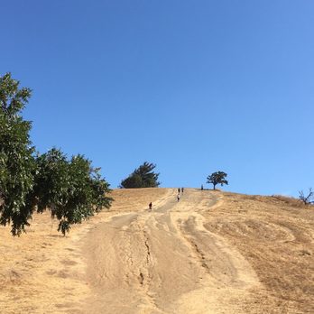 Montgomery Hill Park - sweat is my fat crying! - Hiking Near Me - San Jose, California Montgomery Hill Park - sweat is my fat crying! - Hiking Near Me - San Jose, California