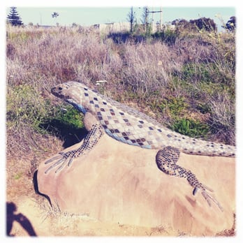 Legacy Park - Parks Near Me - Malibu, California