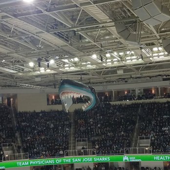 San Jose Sharks - Professional Sports Teams Near Me - San Jose, California San Jose Sharks - Professional Sports Teams Near Me - San Jose, California