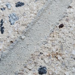 The Driveway Company of North Georgia