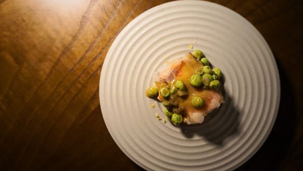 Gastro by Elemento by null