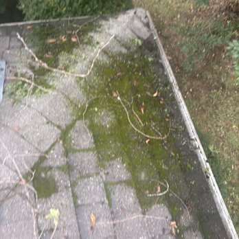 KGM Property Services - Don't let moss take over your roof, moss acts as a sponge that will rust out nails and cause water shedding issues resulting in leaks! - Pressure Washers Near Me KGM Property Services - Don't let moss take over your roof, moss acts as a sponge that will rust out nails and cause water shedding issues resulting in leaks! - Pressure Washers Near Me