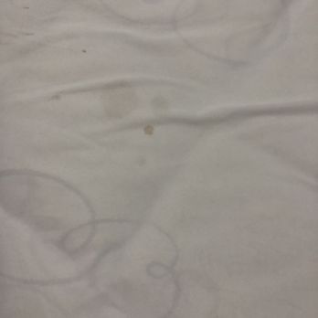 Anaheim Lodge - Blood? Feces? Urine? Your guess is as good as mine. - Hotels Near Me - Anaheim, California