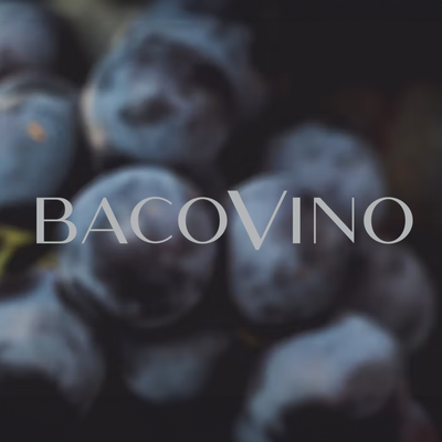Bacovino Winery by null