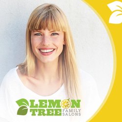 Lemon Tree Hair Salons