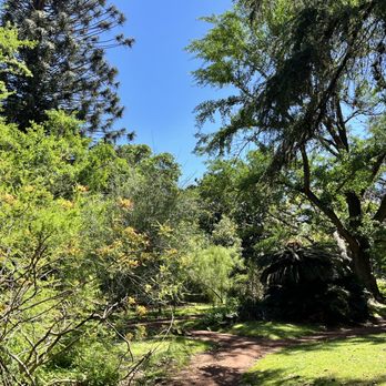 Jardín Botánico Carlos Thays - Botanical Gardens Near Me - Buenos Aires, C