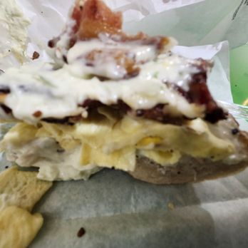Bagel Babe - Salty Babe - Bagels Near Me - St. Petersburg, Florida Bagel Babe - Salty Babe - Bagels Near Me - St. Petersburg, Florida