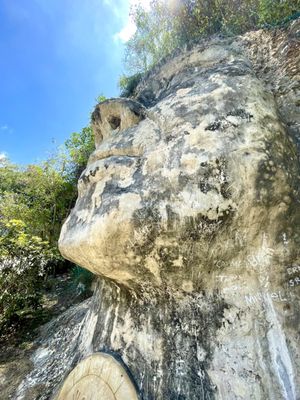 Cara del Indio by null