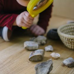 Seden Centre For Child Development & Wellness