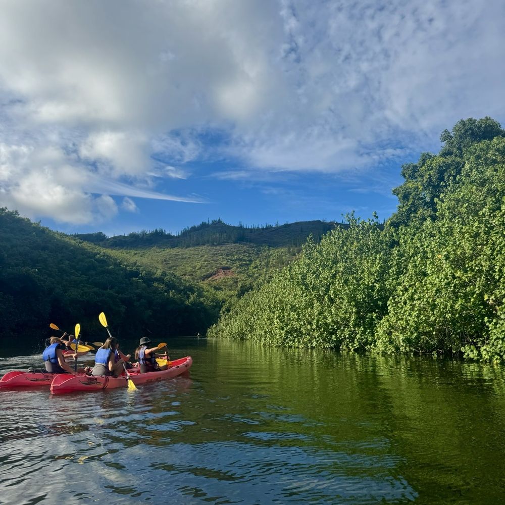 Kayak Wailua Tours - Tours Near Me - Kapaa, Hawaii