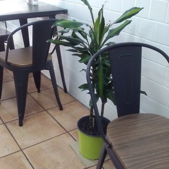 Victory Caffe - Inside. With a cute real plant in between 2 of the tables/chairs? - Breakfast & Brunch Near Me - Studio City, California
