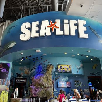 Sea Life - Aquariums Near Me - Orlando, Florida Sea Life - Aquariums Near Me - Orlando, Florida