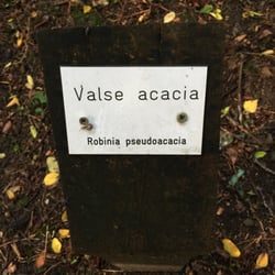 Arboretum Fort VII - Euh ..