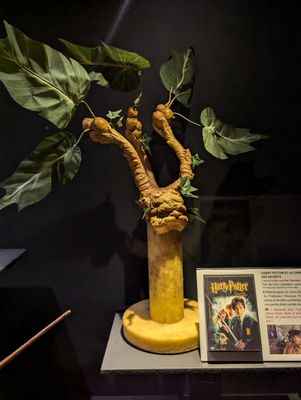 Musée Cinéma et Miniature by null