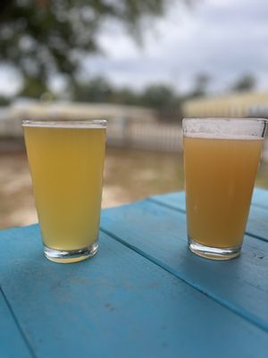 Gnarly Barley Brewing by null