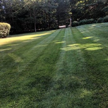 McLellan's Property Service - Gardeners Near Me McLellan's Property Service - Gardeners Near Me