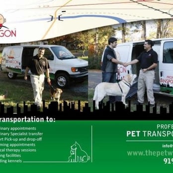 The Pet Wagon - Pet Boarding Near Me - Durham, North Carolina The Pet Wagon - Pet Boarding Near Me - Durham, North Carolina