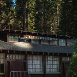 Giant Forest Museum - Outside of the museum. A must stop before hitting up the near by trials.