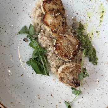 Mimosa Grill - Scallops and risotto - Southern Near Me - Charlotte, North Carolina Mimosa Grill - Scallops and risotto - Southern Near Me - Charlotte, North Carolina
