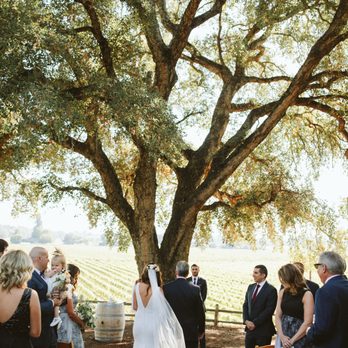 Honey & Vine Events - Wedding Planning Near Me Honey & Vine Events - Wedding Planning Near Me