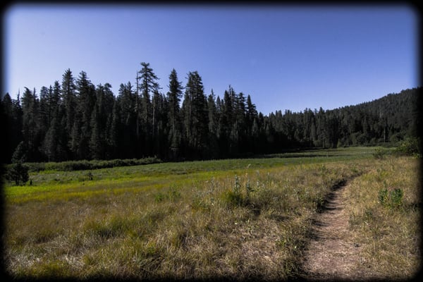 Hodgdon Meadow Campground by null