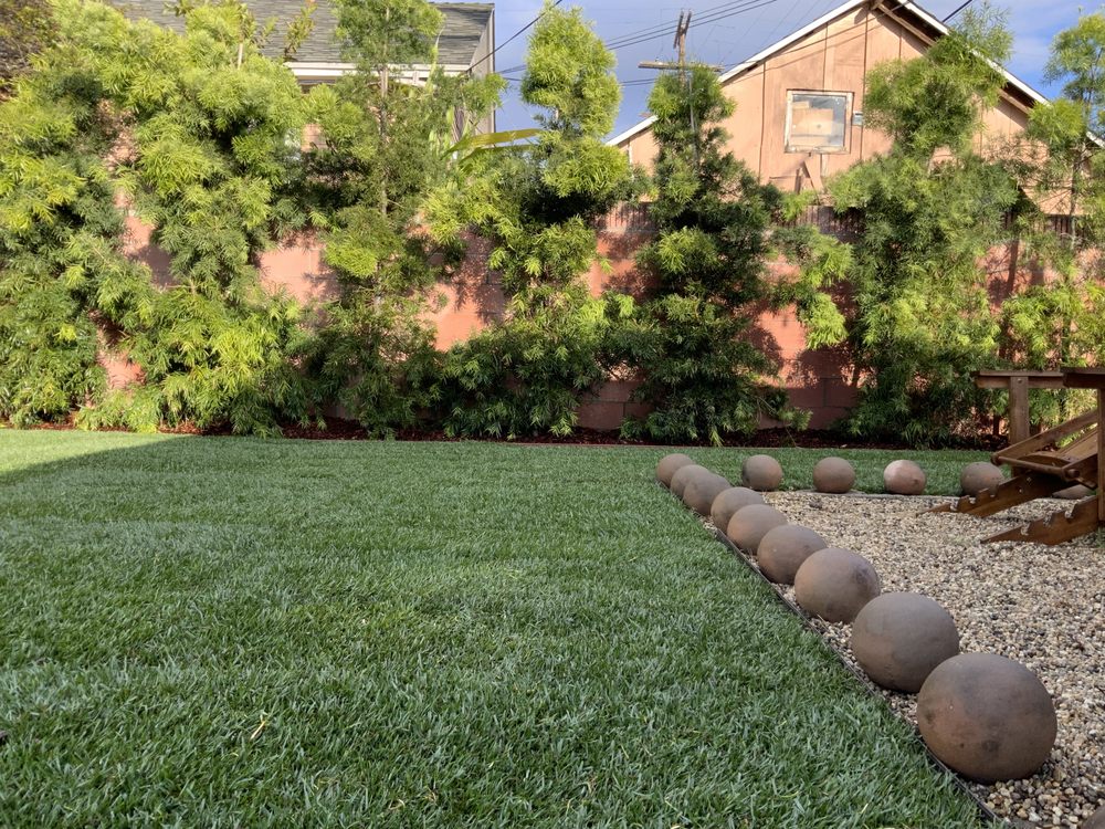 AJP Landscape - tree service in Los Angeles, CA