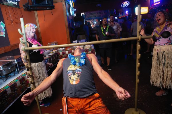 Canary Roost by null