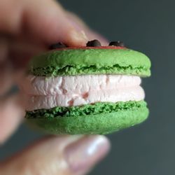 The Social Blend - So much filling!