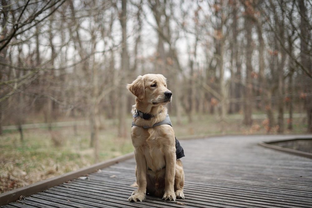 NEWFIELDS 653 Photos & 95 Reviews 4000 Michigan Rd, Indianapolis