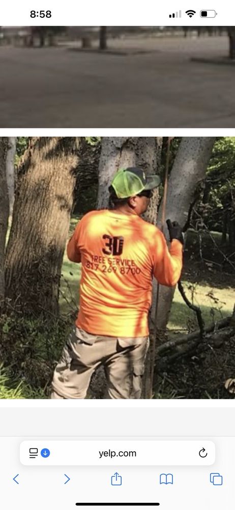 3D Tree Service - tree service in Fort Worth, TX