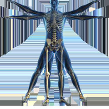 1. Dynamic Health Physical Therapy and Wellness