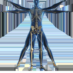 Dynamic Health Physical Therapy and Wellness