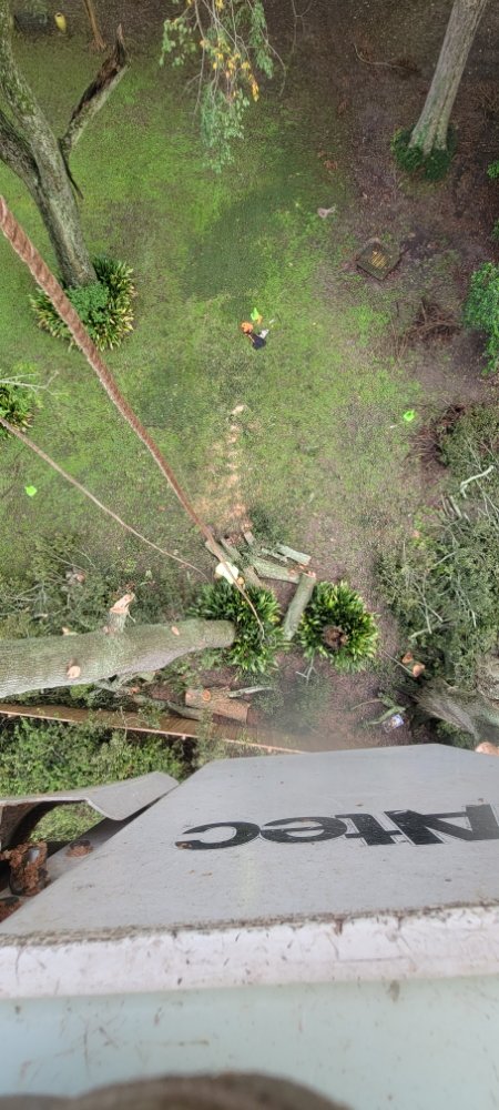 Brogan's Better Business - tree service in Eunice, LA