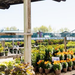 Landsburg Landscape Nursery