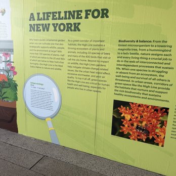 The High Line - Parks Near Me - New York, New York The High Line - Parks Near Me - New York, New York
