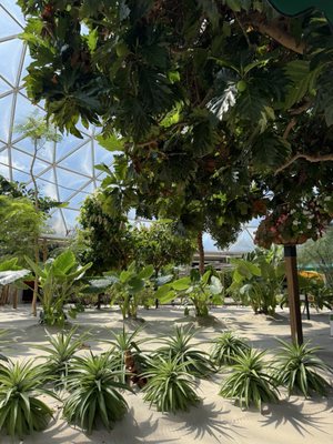 Living with the Land by null