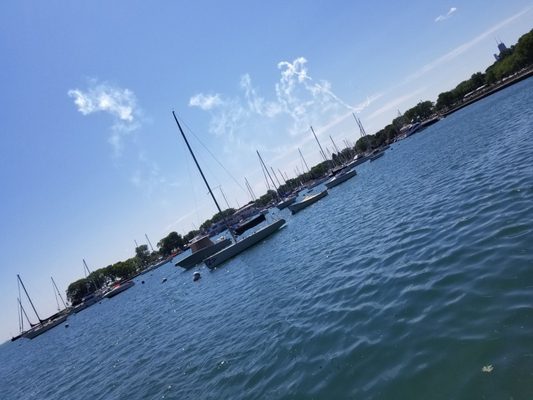 Belmont Harbor by null
