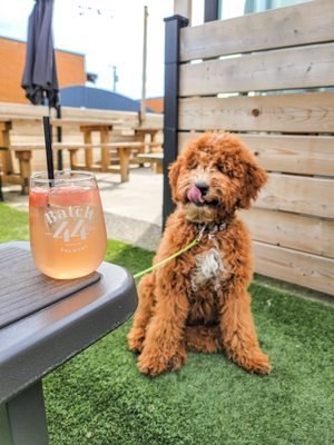 Batch 44 Brewery and Kitchen by null