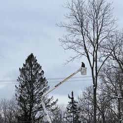 Working safely around lines in Dexter, MI.