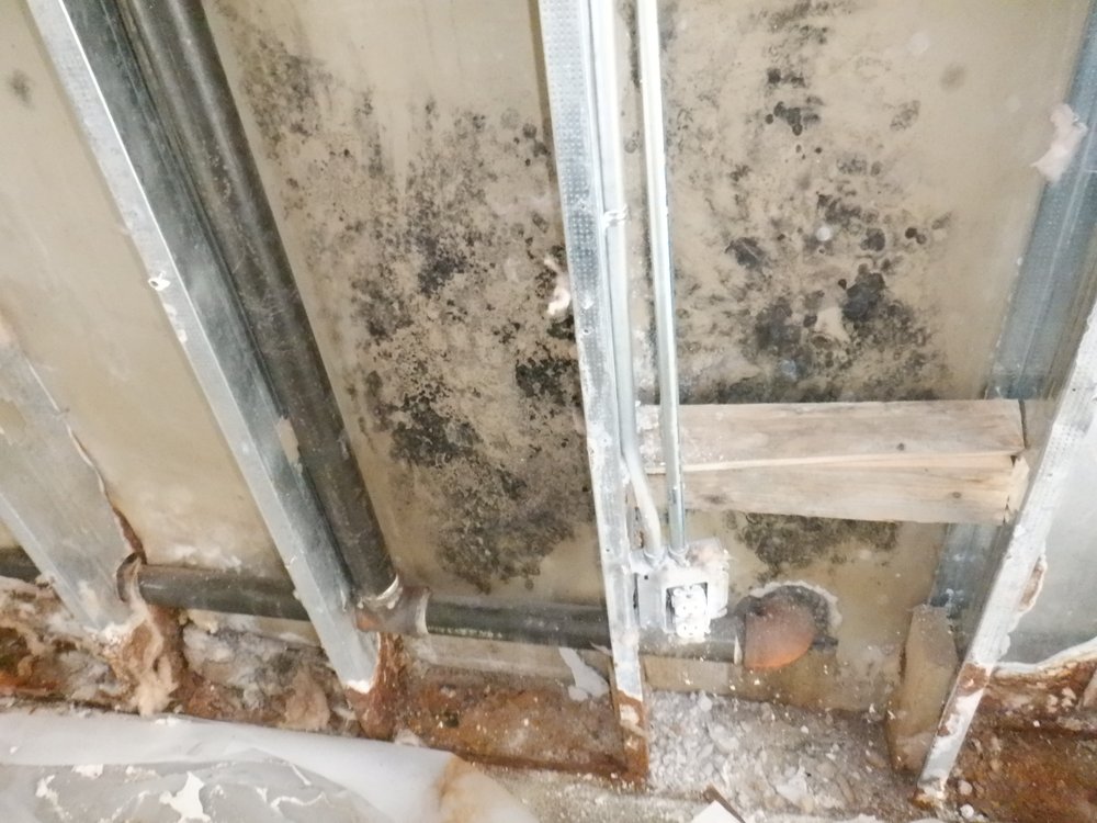 Slide of Floodsmen Disaster Cleanup