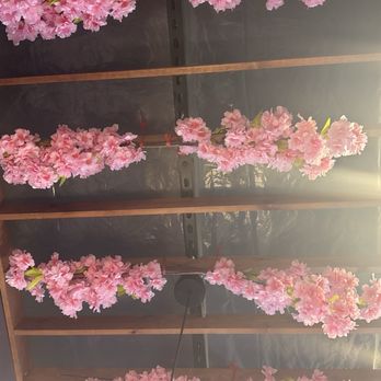 Mr Pan Ramen House - Cherry blossoms ceiling decor - Ramen Near Me - North Charleston, South Carolina Mr Pan Ramen House - Cherry blossoms ceiling decor - Ramen Near Me - North Charleston, South Carolina