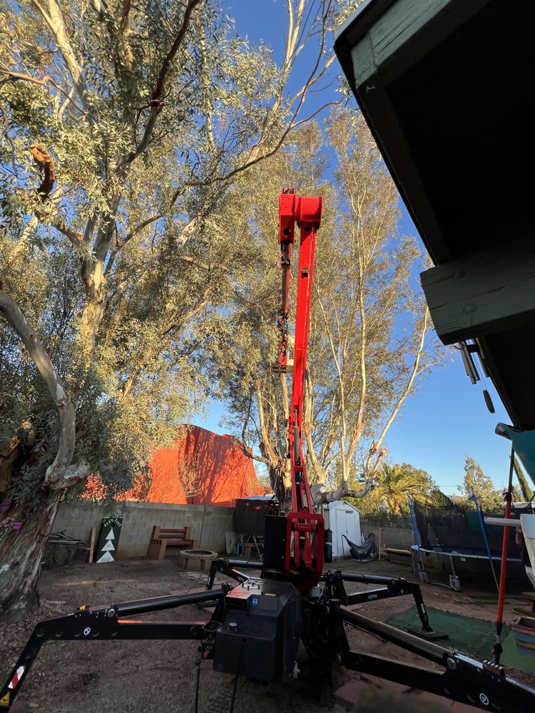 Desert Canopy Tree Service - tree service in Tucson, AZ