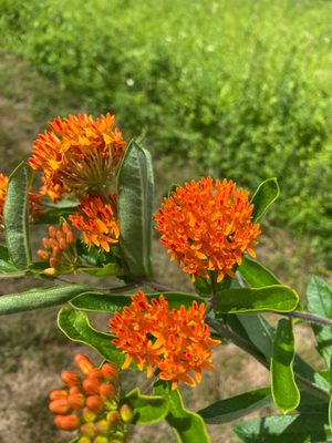 HOLMDEL PARK - 152 Photos & 59 Reviews - Parks - 44 Longstreet Rd