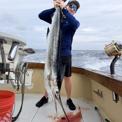 Humdinger Sportfishing