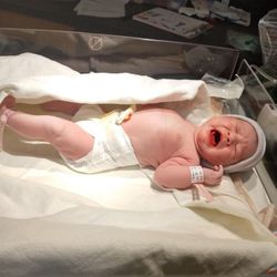 Mario Gomez, MD, PA