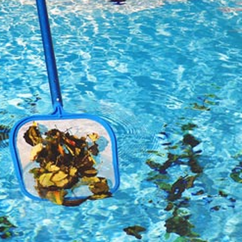 De La Rosa Pool Service - Pool Cleaners Near Me De La Rosa Pool Service - Pool Cleaners Near Me