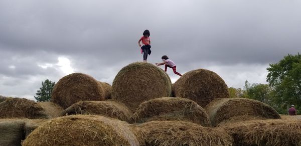FALL HARVEST ORCHARD - Updated September 2025 - 30 Photos & 25 Reviews ...