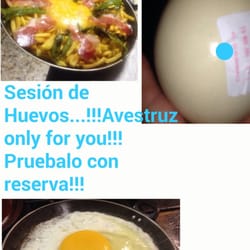 La Nova - AVESTRUZATE!!!;-)