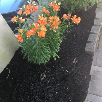 B & B Maintenance Services, Inc - a flower bed - Landscaping Near Me - Oakdale, New York